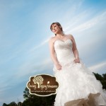 tampa bay wedding photographer rock the dress loving legacy 2