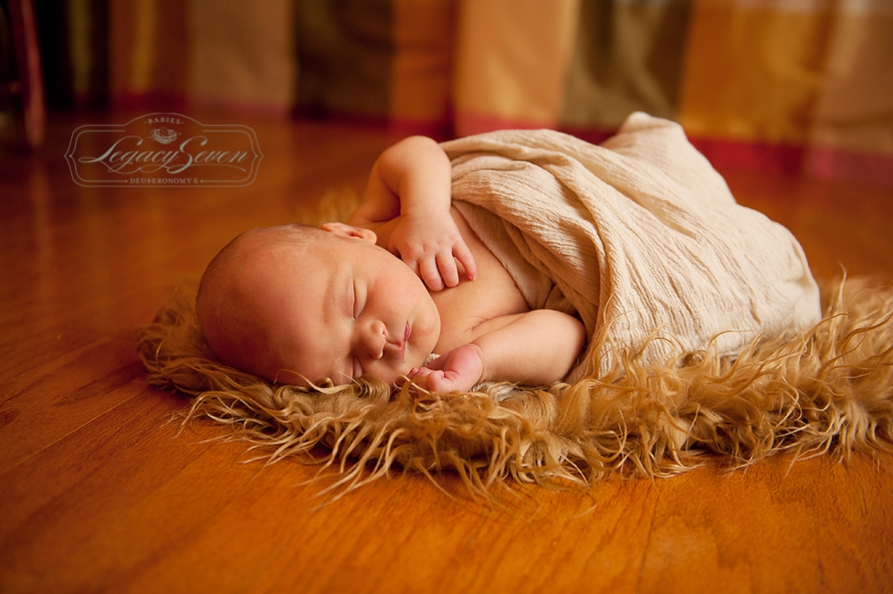 florida sibling newborn photographer a