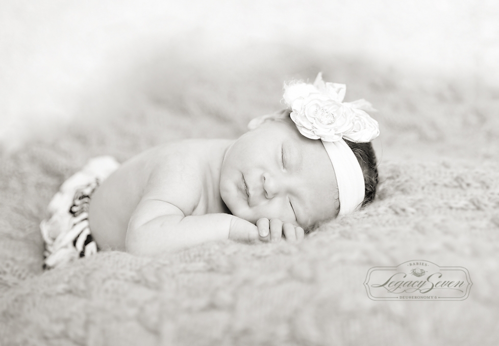 belleair newborn photographer legacy seven studios b