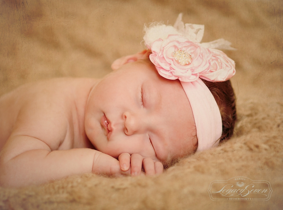 belleair newborn photographer legacy seven studios c