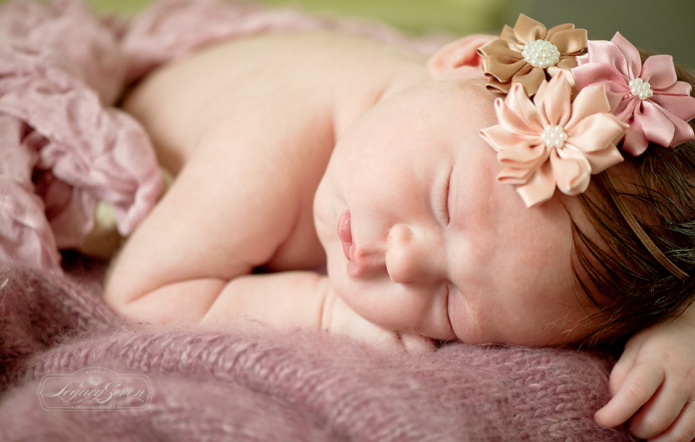 belleair newborn photographer legacy seven studios d